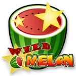 Wild Melon game thumbnail